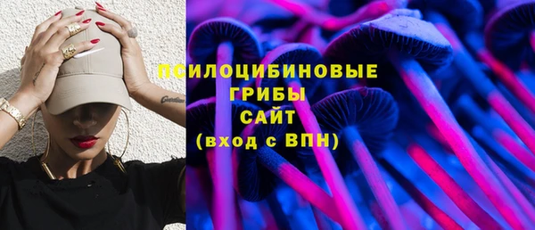 крисы Ладушкин