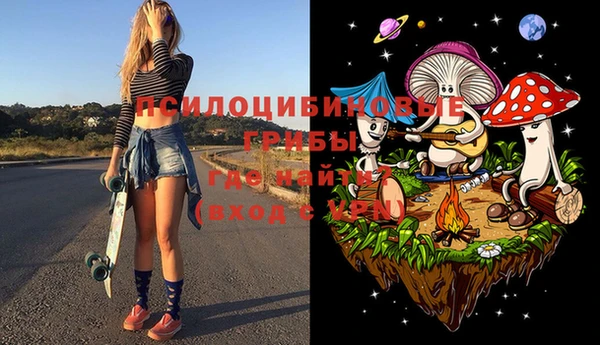 стаф Кукмор