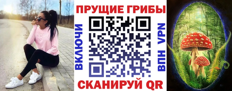 купить наркоту  Усть-Катав  Псилоцибиновые грибы прущие грибы 